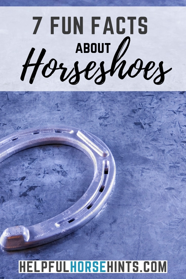 7 Fun Facts About Horseshoes Helpful Horse Hints