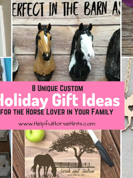 8 unique horse gift ideas