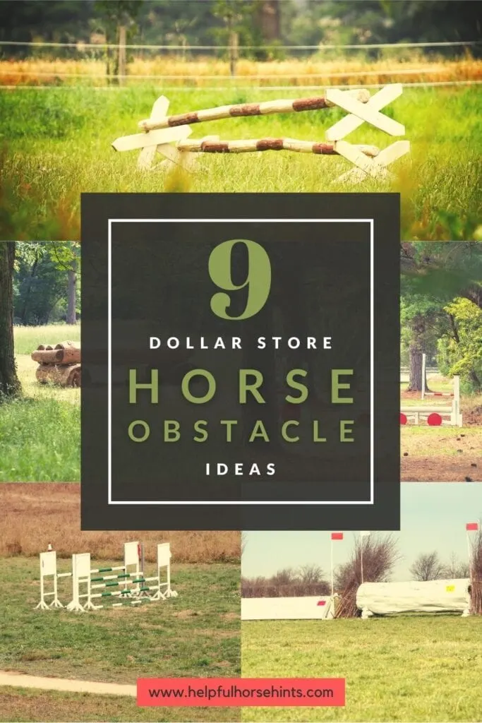 Pinterest pin - 9 Dollar Store Horse Obstacle Ideas