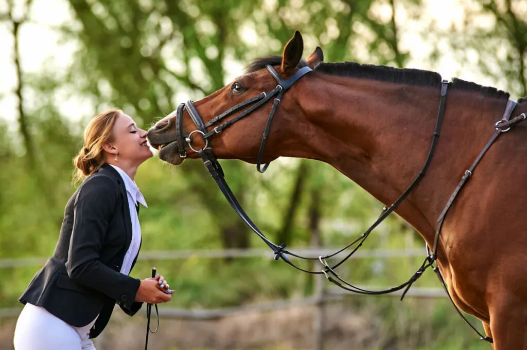 A brown horse wearing a leather halter about to kiss a girl rider