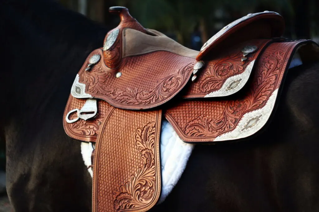 A brown show saddle on a black horse