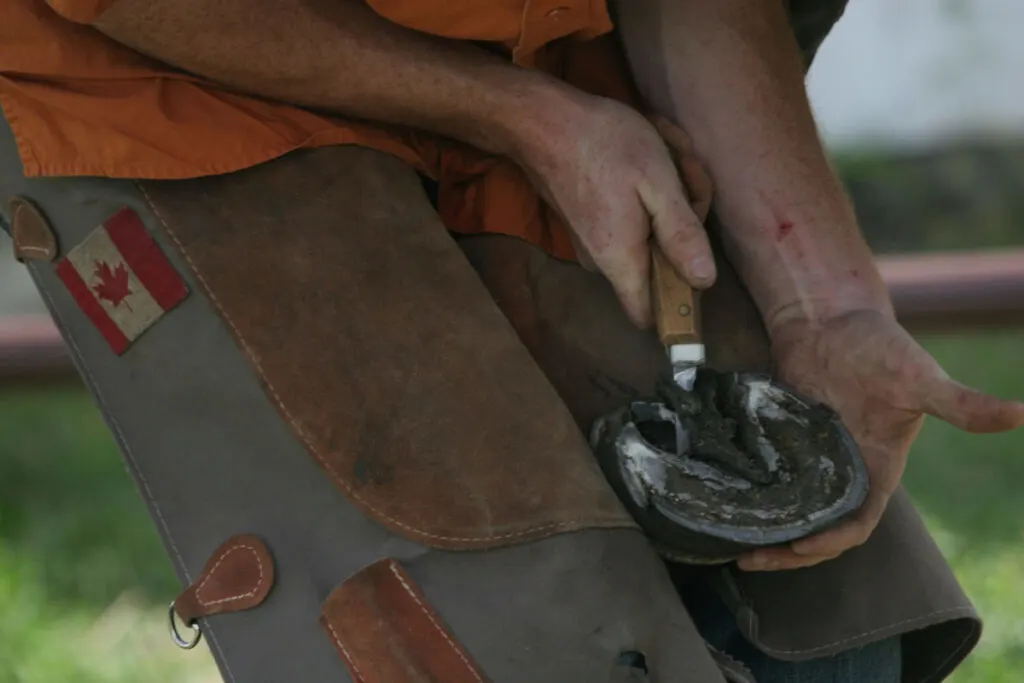 A farrier trimming horse hoof