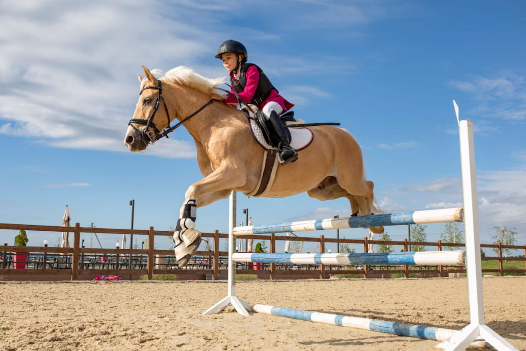 A girl equestrian athlete jumps on vertical horse jump show 