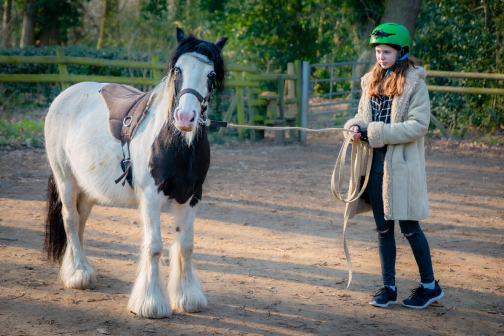 A girl holding a rope tied to a gypsy vanner horse