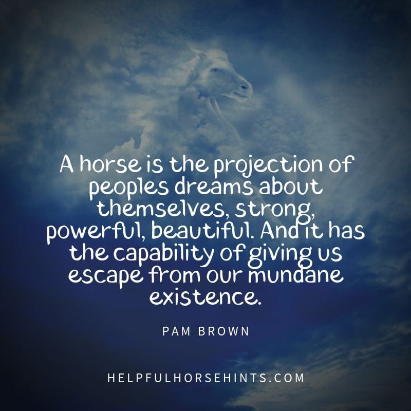 Horse Quote - A horse is the projection of peoples dreams about themselves, strong, powerful, beautiful. And it has the capability of giving us escape from our mundane existence.