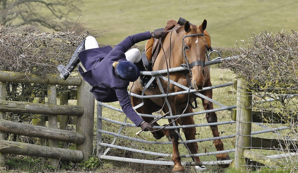 A lady rider falling off a horse who is coming over a metal gate