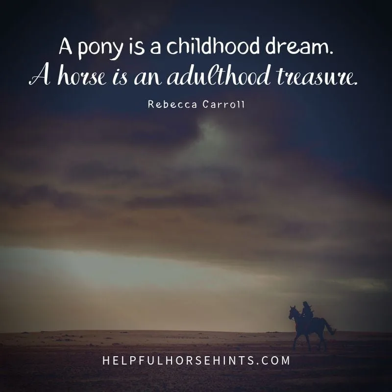 Horse Quote A pony is a childhood dream. A horse is an adulthood treasure.
