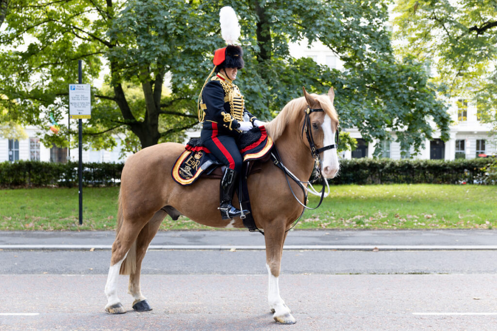 A soldier of the Royal Horse Artillery of the British Army prepare before they fire a gun salute in Hyde Park in tribute to Queen Elizabeth II