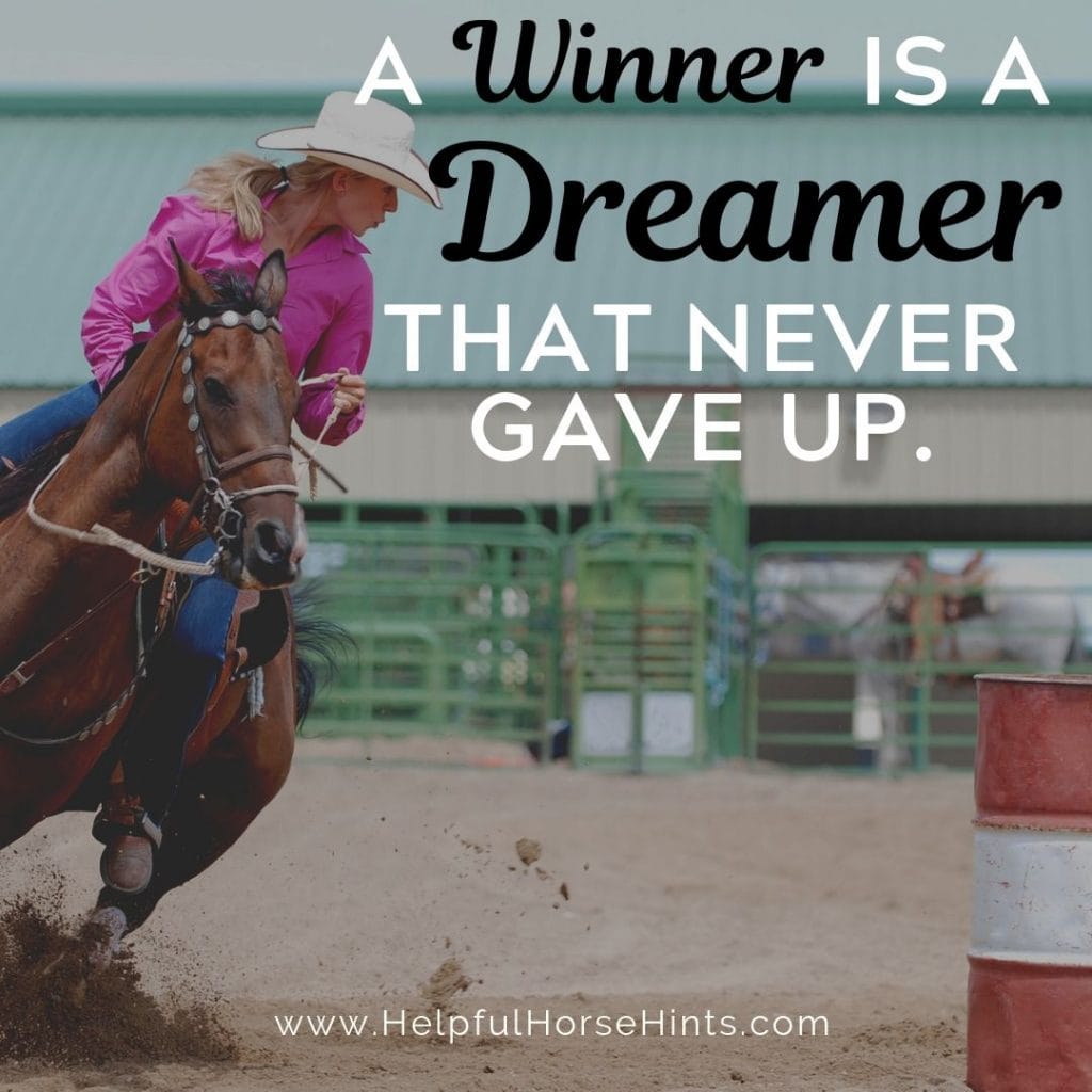 Pinterest Pin - A winner is a dreamer that never gave up