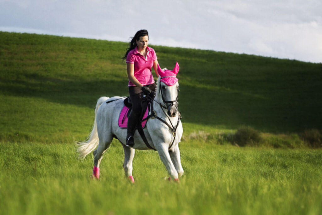 A woman in pink riding a Lipizzan horse in a green pasture