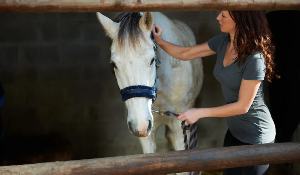 A young woman taking care of her horse in its stable