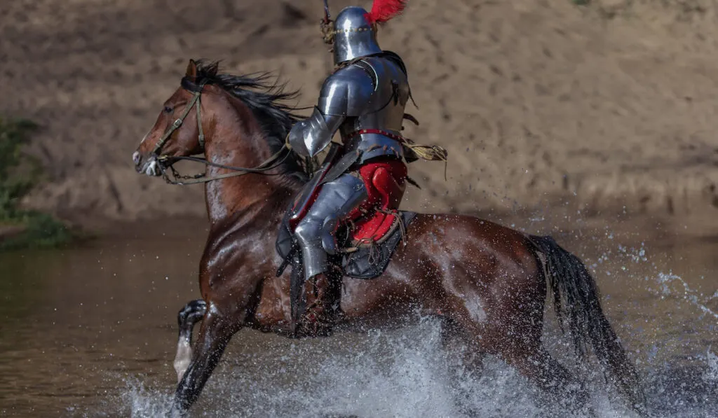 Adult man in knightly armor with a sword rides a horse on a river along