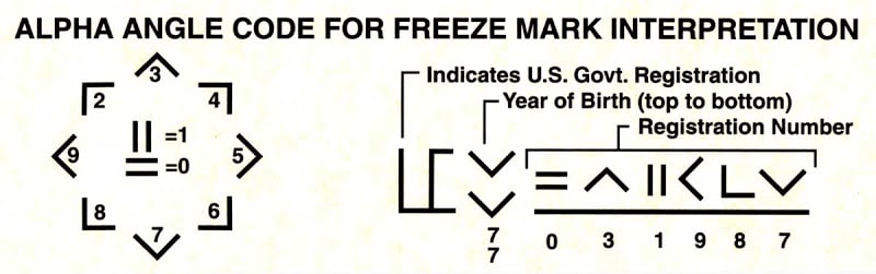 Alpha Angle Interpretation of BLM Brands