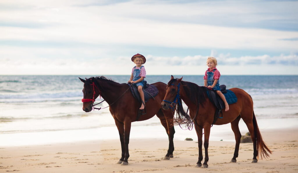 little boys riding on its pony on a ranch  on the seaside