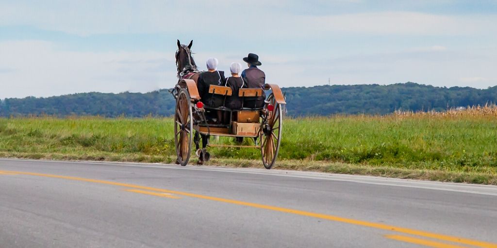 Amish buggy going down the road