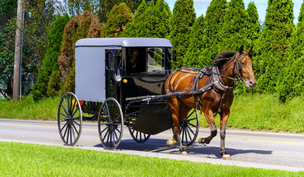 An Amish buggy travels on a rural road in Lancaster County.