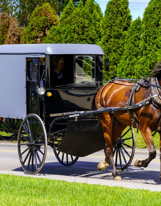 amish buggy travels on a rural road in lancaster county