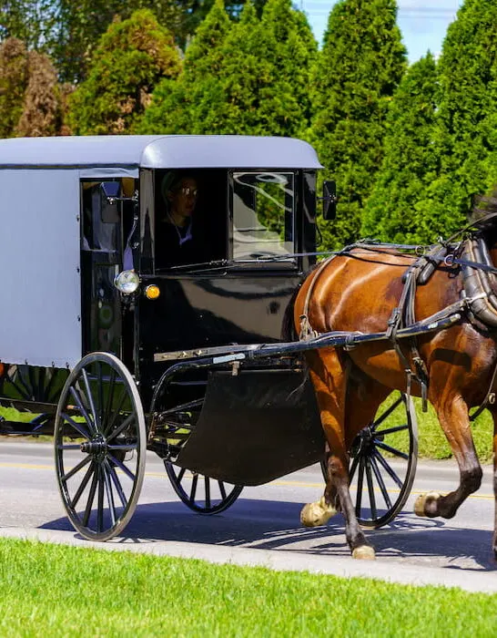 amish buggy travels on a rural road in lancaster county