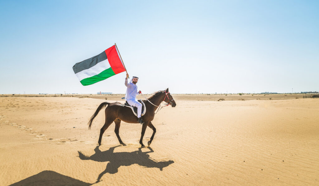 Arabian man with horse in the desert