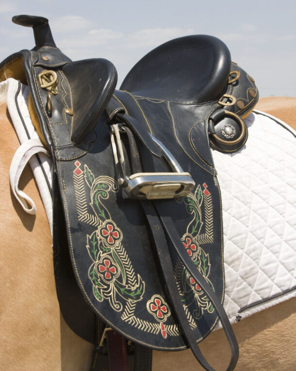 English Saddle vs. Australian Saddle Helpful Horse Hints