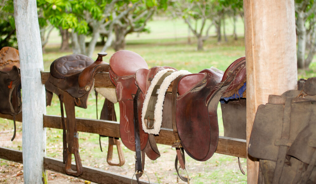 Australian stock  Saddle on wooden fence of the stable on the farm