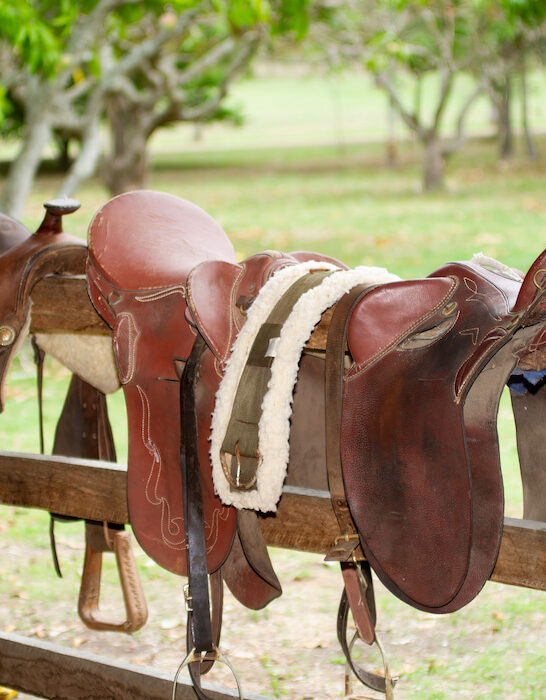 australian stock saddle on wooden fence of the stable on the farm
