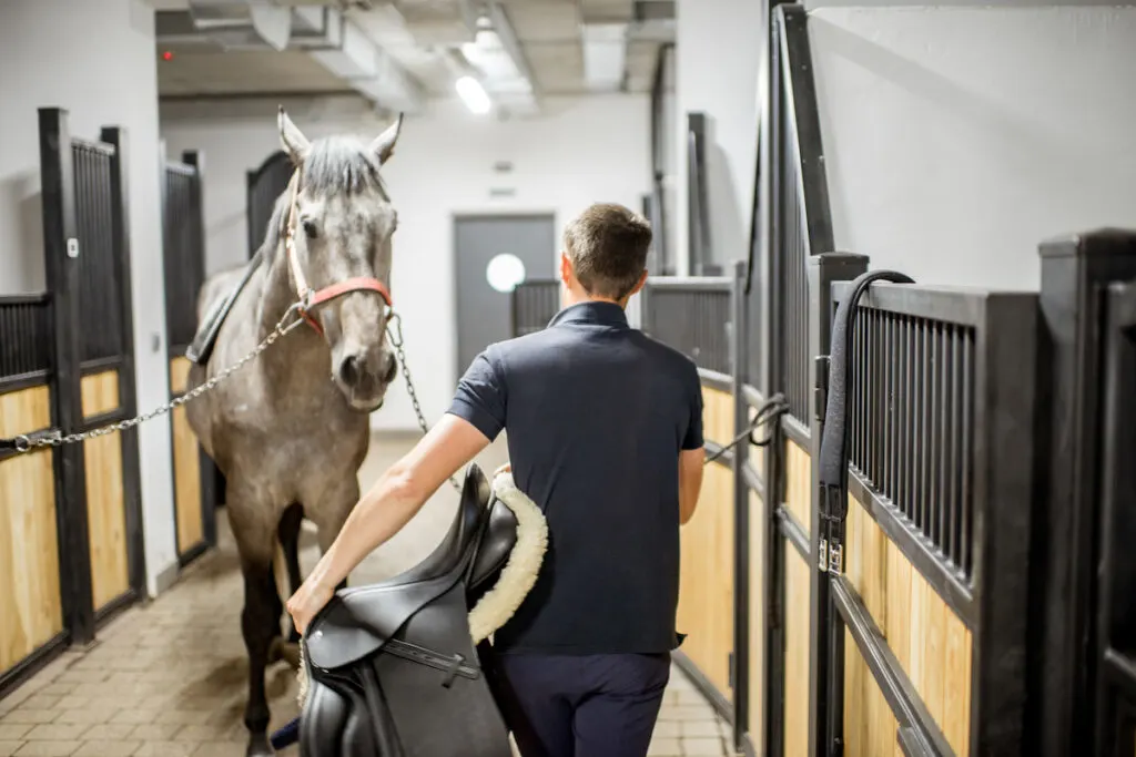 Back view of a man carrying saddle and a horse in front of him in the stable