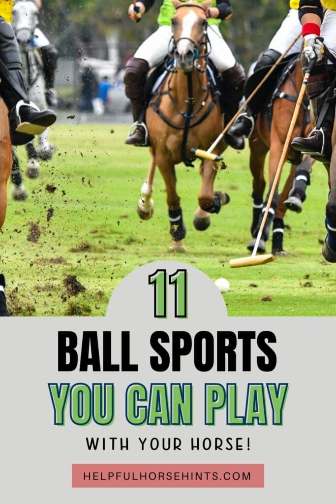 Pinterest pin - 11 Ball Sports You Can Play with Horses