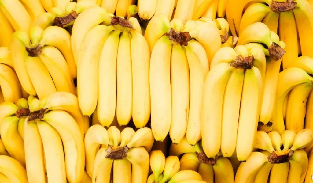Bunch of Bananas