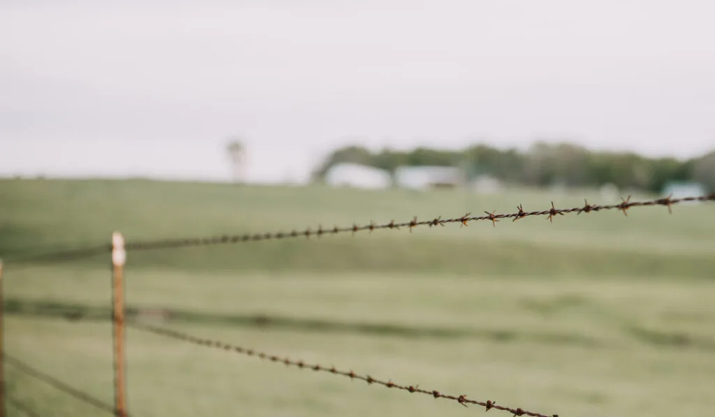 Barbed Wire Fence on the farm