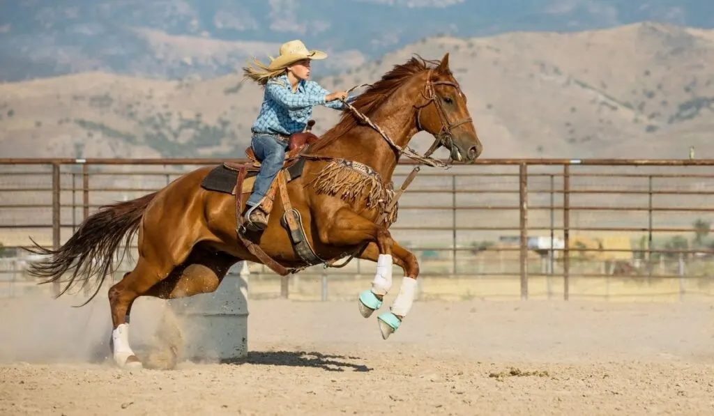 Barrel Racing