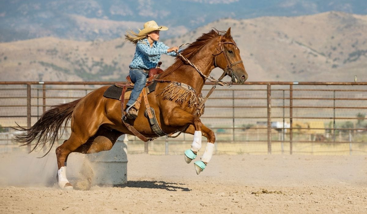 Taking your Barrel Racing to the Next Level through Positive Self Talk ...