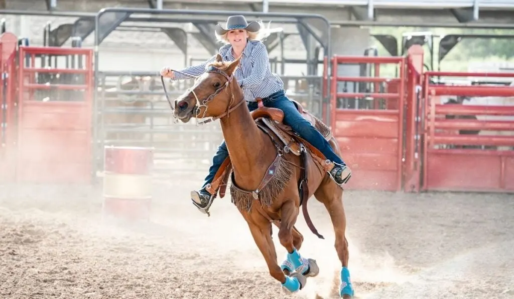 Barrel Racing Horse