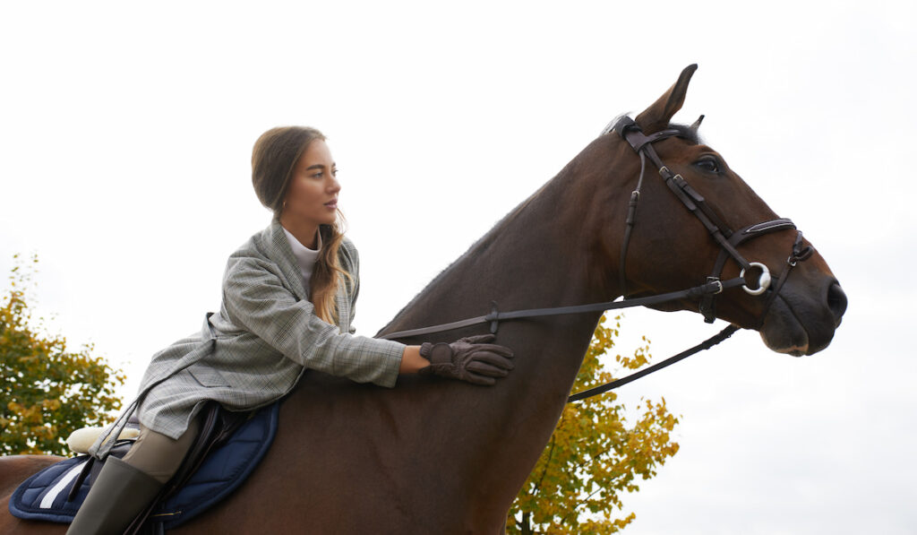 Beautiful brunette on a horse on the background of an autumn landscape