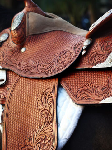 Gaited Saddle vs. Western Saddle - Helpful Horse Hints