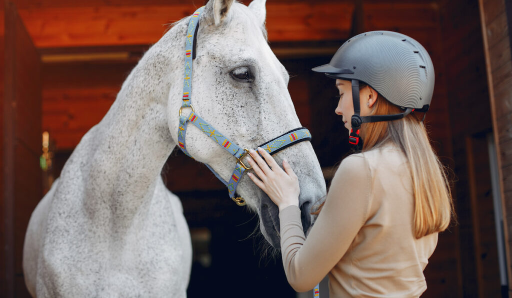 Beautiful woman wearing helmet touching her white horse