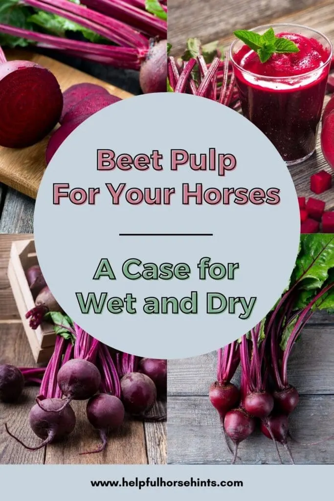 Pinterest pin - Beet Pulp For Your Horses