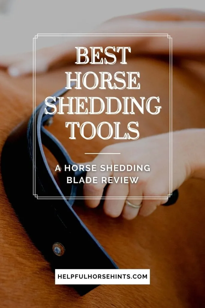 Pinterest pin - Best Horse Shedding Tools_ A Horse Shedding Blade Review