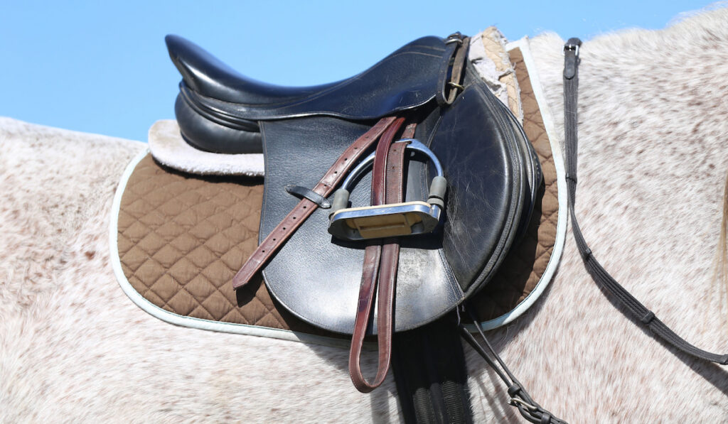 Black all purposes sport horse saddle on white horse against blue sky