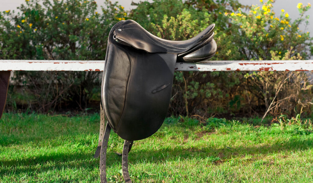 Black English style traditional dressage saddle on a bench outside near green plants in the backyard