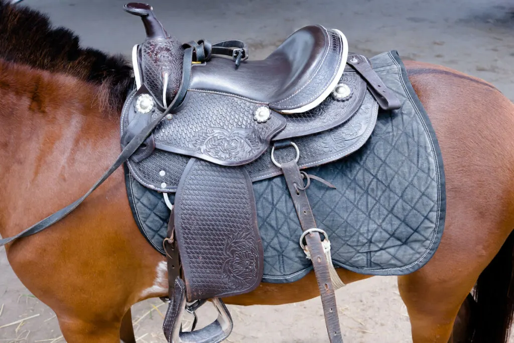 Black western saddle on brown horse