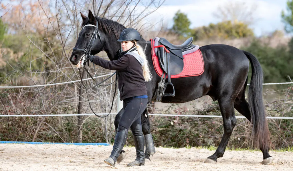 Blonde woman training her black horse