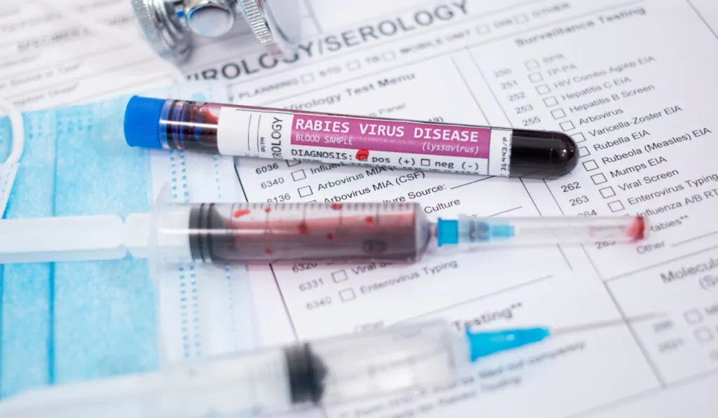 Blood samples with infected rabies virus