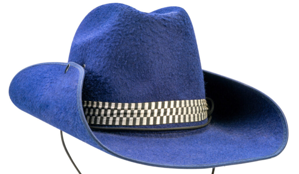 blue felt cowboy hat