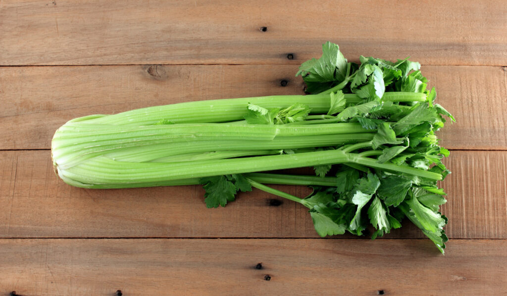 Bunch of Celery on  a wooden table
