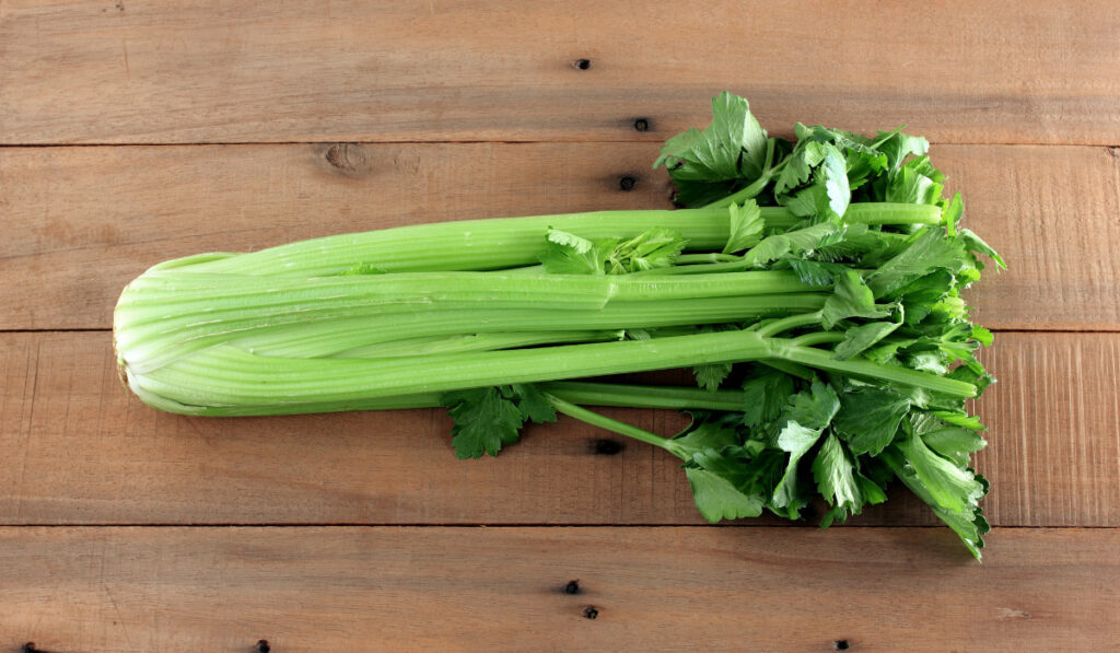 Bunch of Celery on  a wooden table