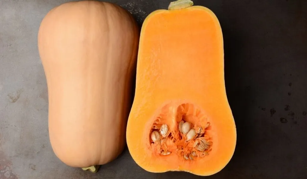 Butternut Squash on dark background
