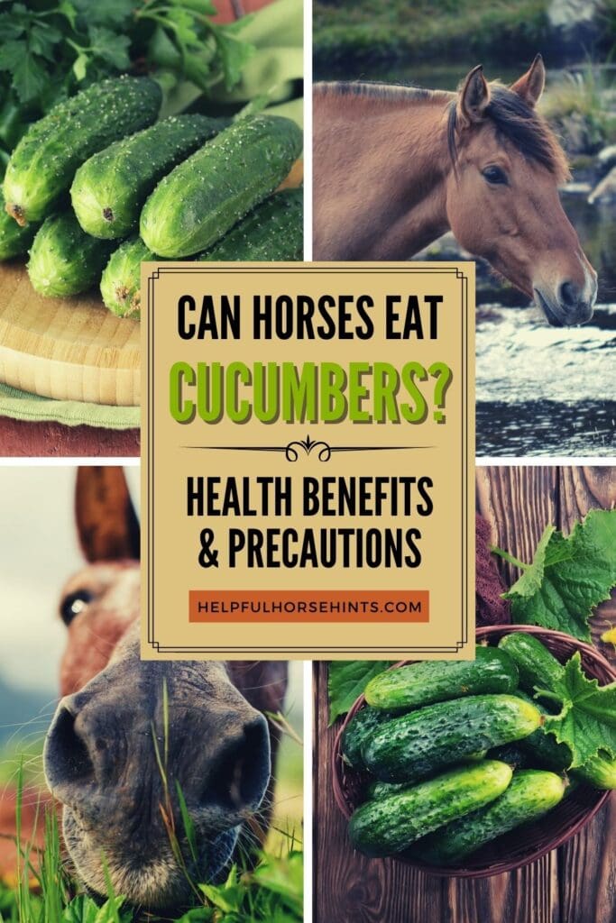 Pinterest pin - Can Horses Eat Cucumbers Health Benefits & Precautions