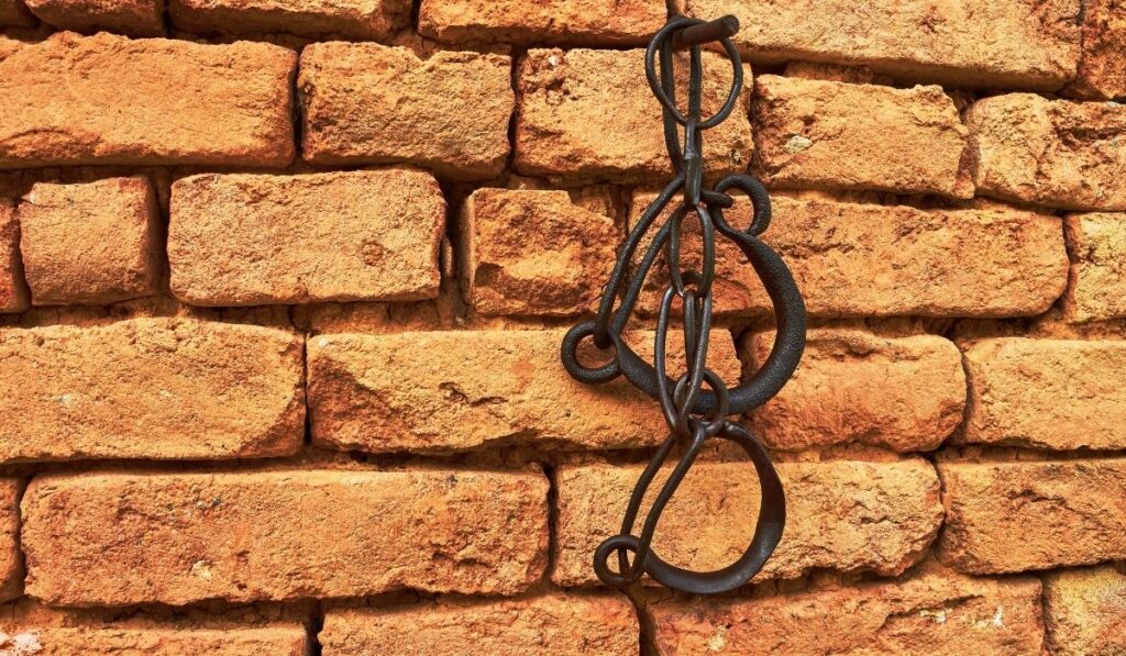 Types of Hobbles for Horses Helpful Horse Hints