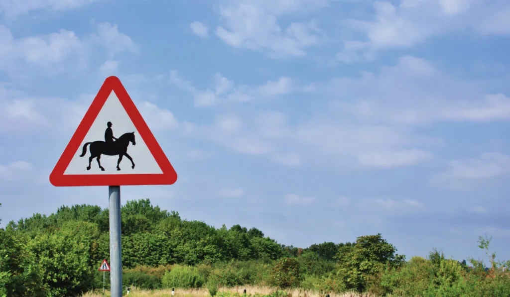 Caution Horses Road Sign
